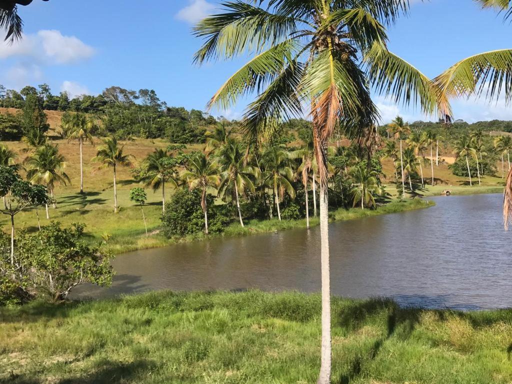 Oka Milagres Residence 06 São Miguel dos Milagres エクステリア 写真
